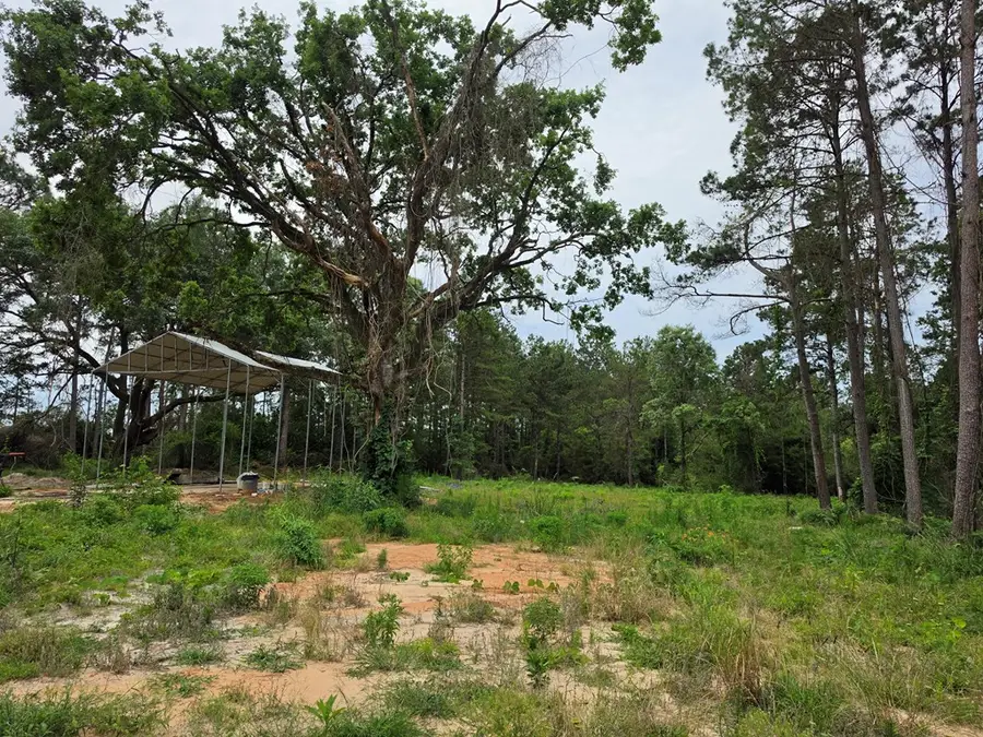 1017 Cr 3325, Colmesneil, TX 75938 - #2