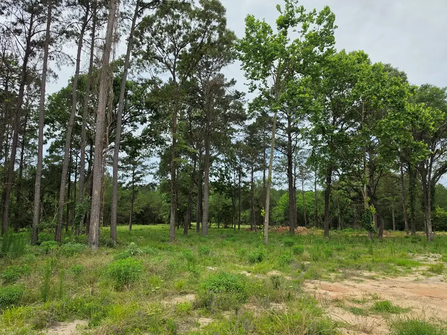 1017 Cr 3325, Colmesneil, TX 75938 - #3