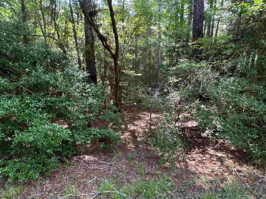 Lot 12 Victoria, Brookeland, TX 75931 - #3