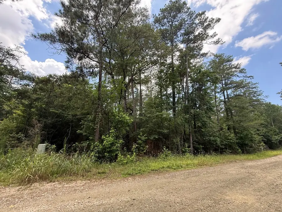 R033061 Amblewood Drive, Brookeland, TX 75931 - #2