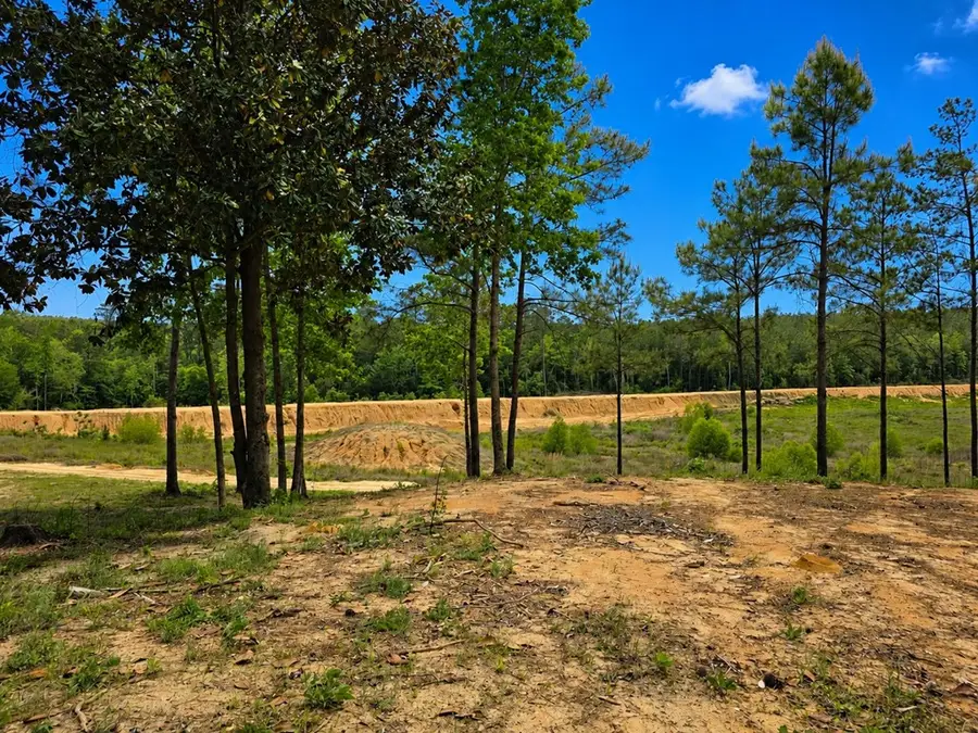 242 County Road 240, Jasper, TX 75951 - #2