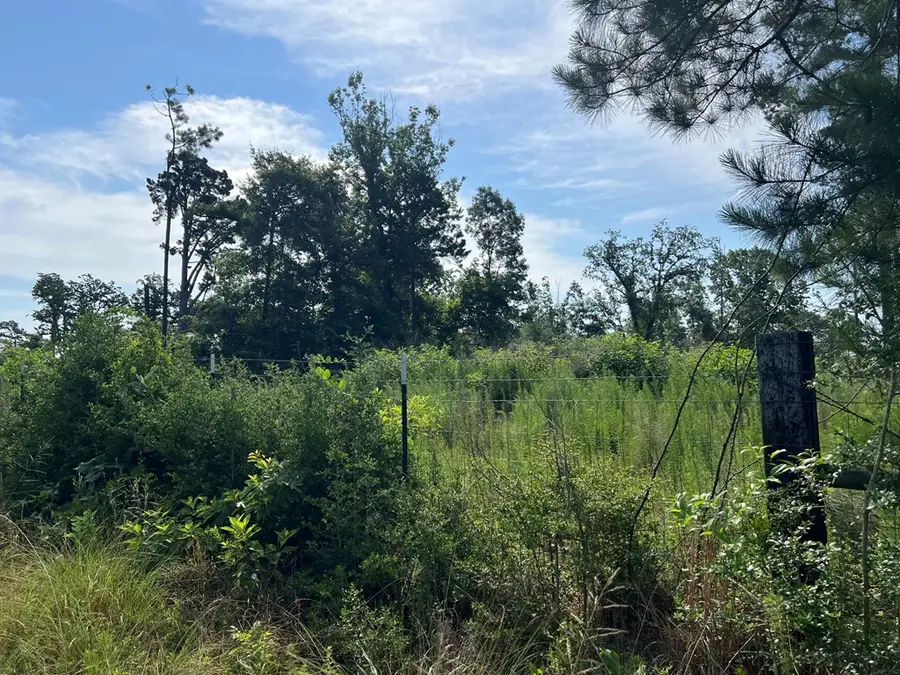 6259 Fm 999w, Gary, TX 75643 - #3