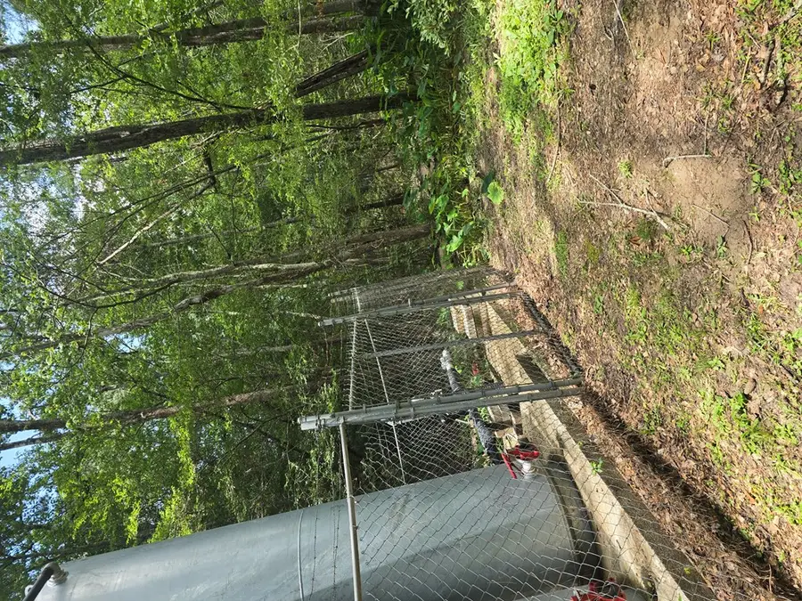 TBD Shoreline Drive, Woodville, TX 75979 - #2