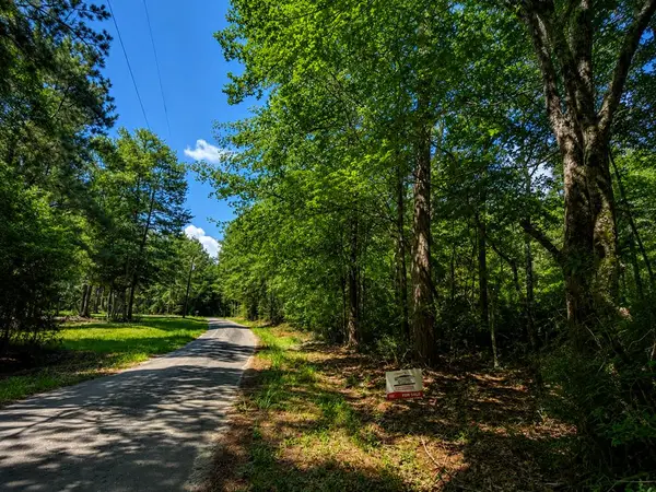 Lot 7 John Keely Road, Zavalla, TX 75980