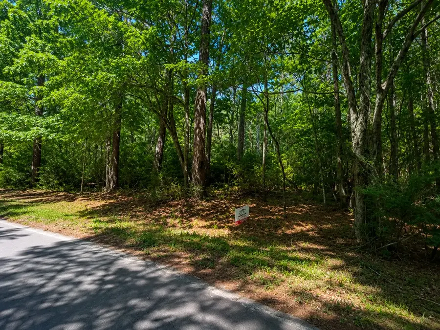 Lot 7 John Keely Road, Zavalla, TX 75980 - #2