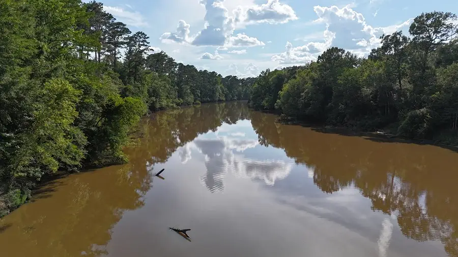 4011 County Road 3775, Colmesneil, TX 75938 - #2