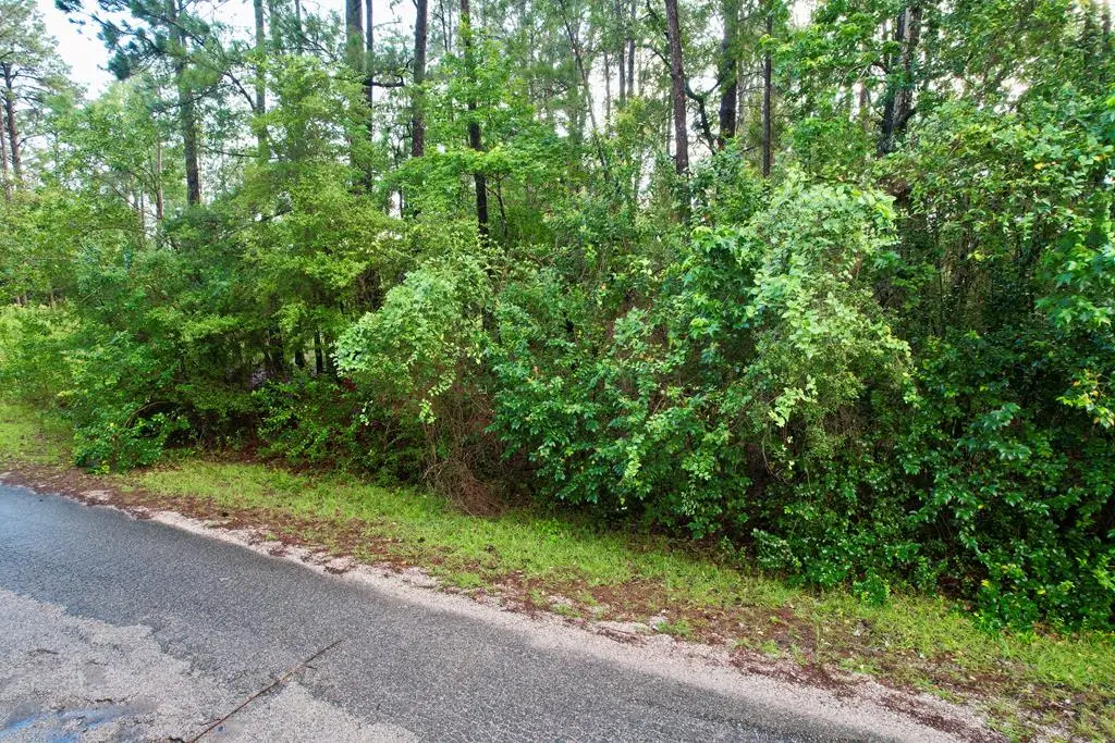 Parcel #31902 Post Oak Lane, Brookeland, TX 75931 - #1