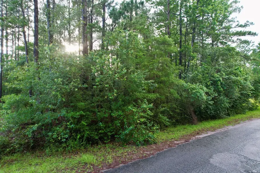Parcel #31902 Post Oak Lane, Brookeland, TX 75931 - #2