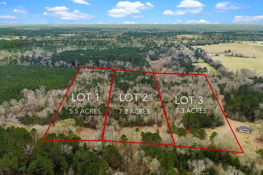 lot 2 & 3 Cr 3182, Joaquin, TX 75954 - #3