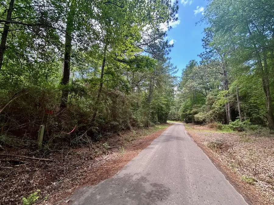 Lot 4 John Keely Road, Zavalla, TX 75980 - #2