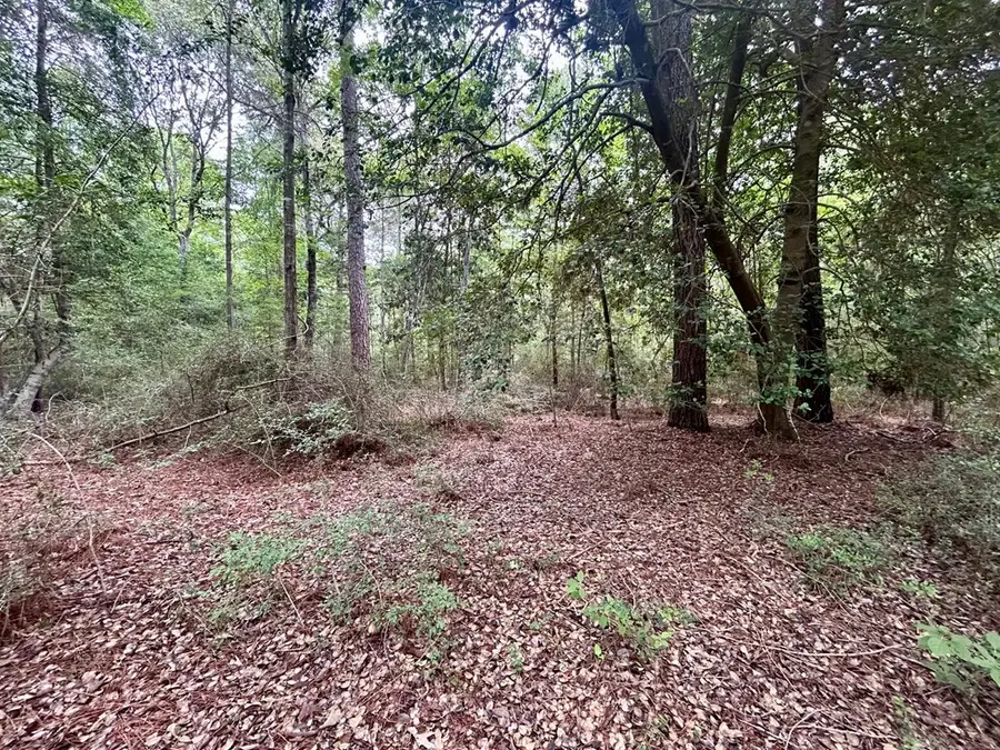 Lot 4 John Keely Road, Zavalla, TX 75980 - #3