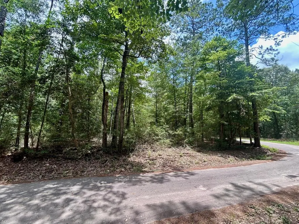 Lot 5 John Keely Road, Zavalla, TX 75980 - #1