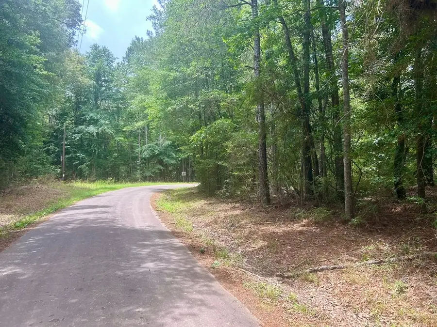 Lot 5 John Keely Road, Zavalla, TX 75980 - #2