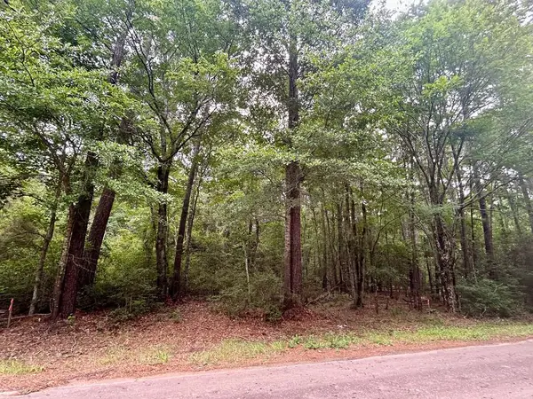 Lot 8 John Keely Road, Zavalla, TX 75980