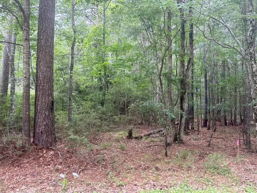 Lot 8 John Keely Road, Zavalla, TX 75980 - #2