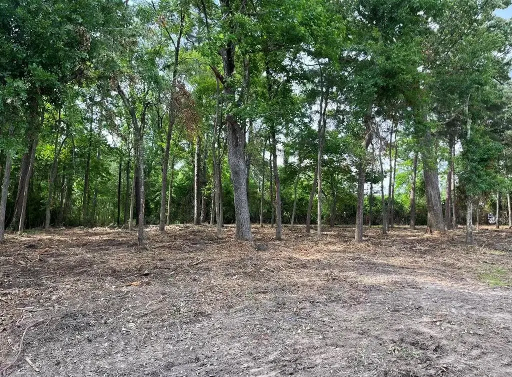 3918 Ellen Trout Drive, Lufkin, TX 75904 - #1