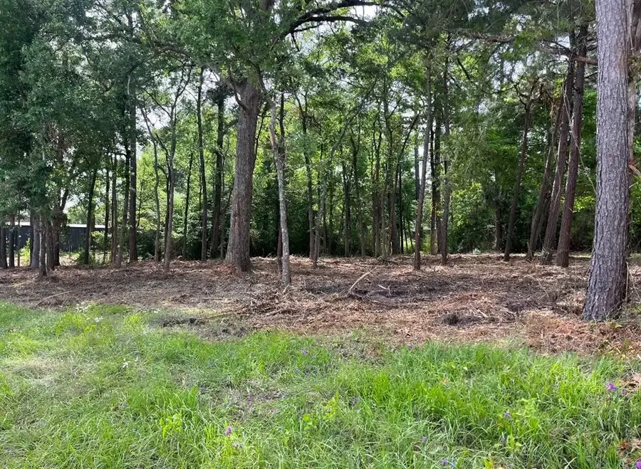 3918 Ellen Trout Drive, Lufkin, TX 75904 - #2