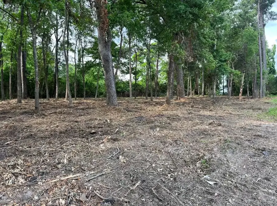 3918 Ellen Trout Drive, Lufkin, TX 75904 - #3