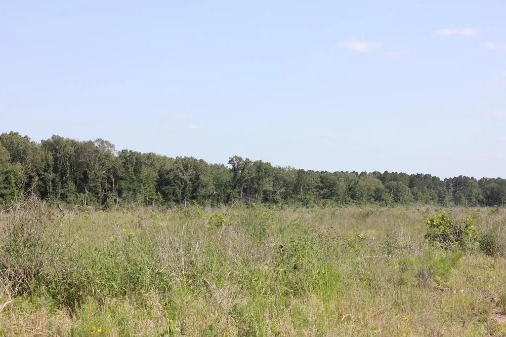 PID 32386 Fm 844, Huntington, TX 75949 - #1