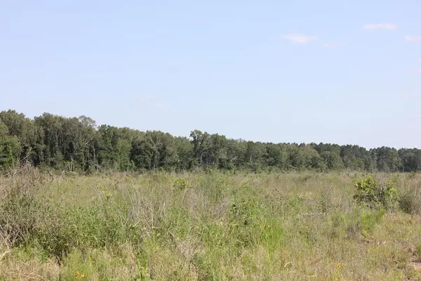 PID 32386 Fm 844, Huntington, TX 75949