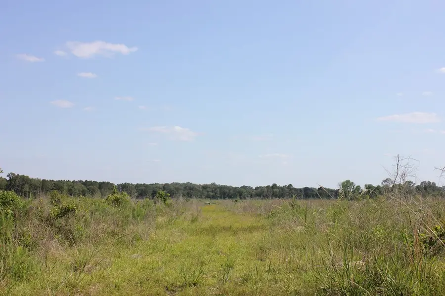 PID 32386 Fm 844, Huntington, TX 75949 - #2