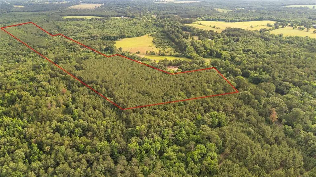 58.429 ac Fm 225 South, Laneville, TX 75667 - #1