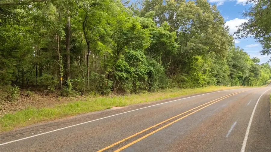 58.429 ac Fm 225 South, Laneville, TX 75667 - #3