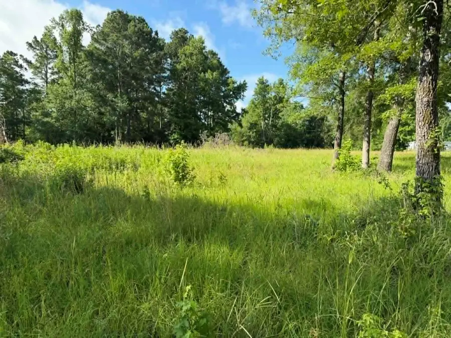 194 Lindsley Lane, Huntington, TX 75949 - #2