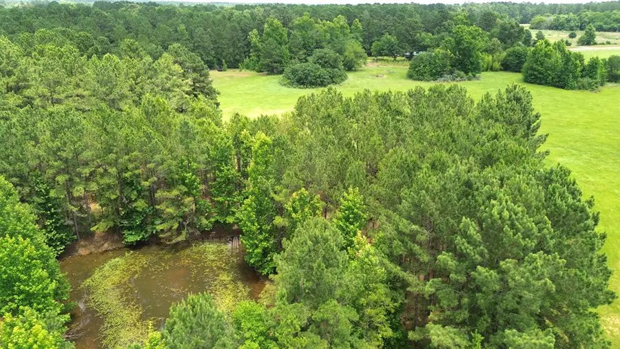 4343 Fm 229, Crockett, TX 75835 - #2