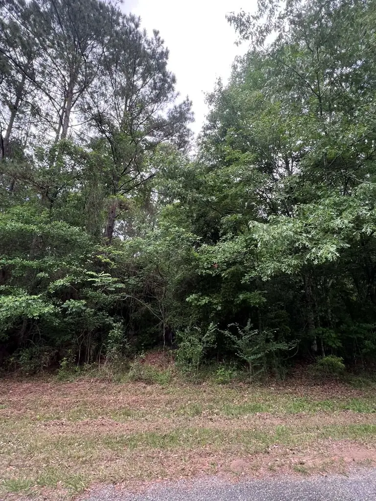 776 Walnut Run Drive, Jasper, TX 75951 - #2