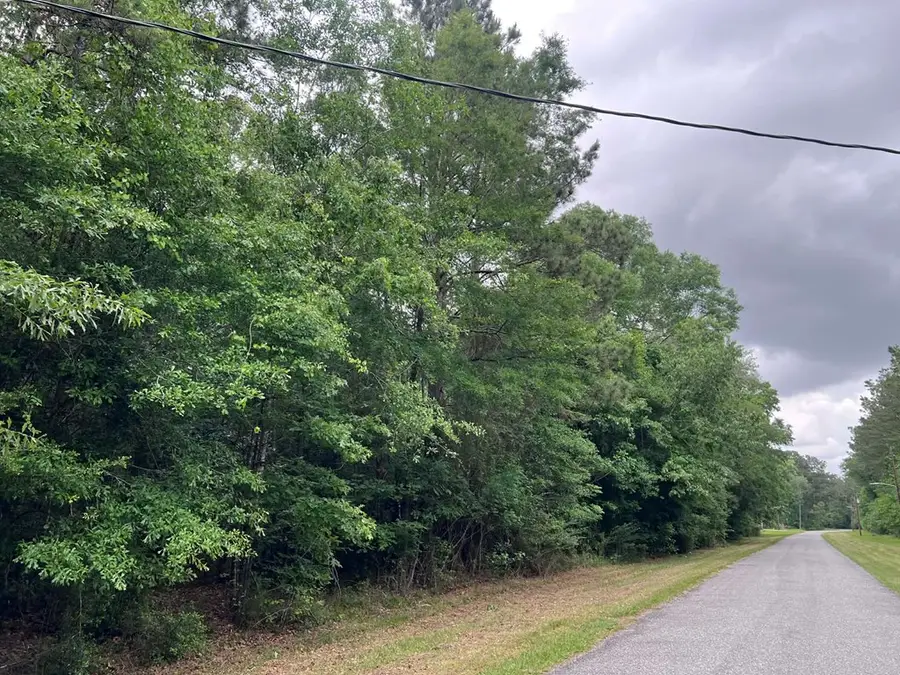 776 Walnut Run Drive, Jasper, TX 75951 - #3