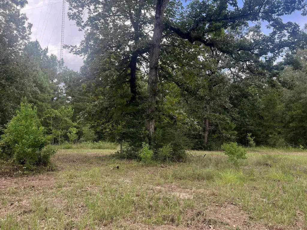 640 Carter Drive, Zavalla, TX 75980 - #1