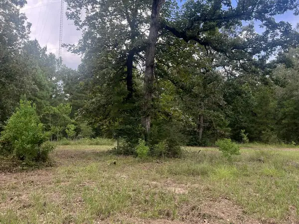 640 Carter Drive, Zavalla, TX 75980