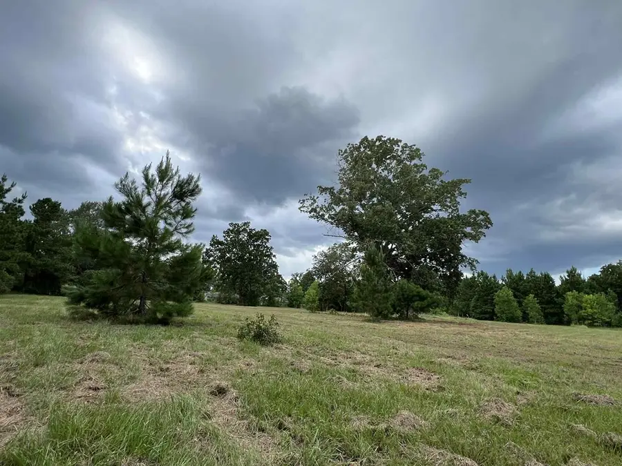 640 Carter Drive, Zavalla, TX 75980 - #3