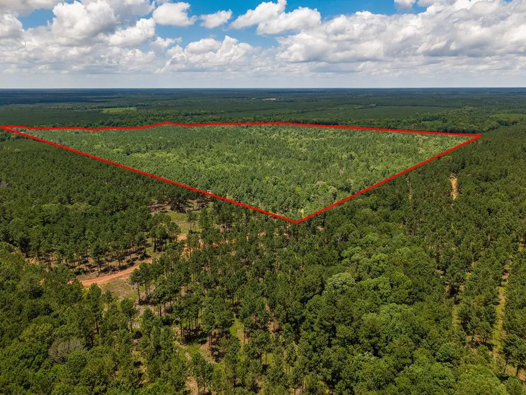 Parcel # 12446 Cr 460, Etoile, TX 75944 - #1