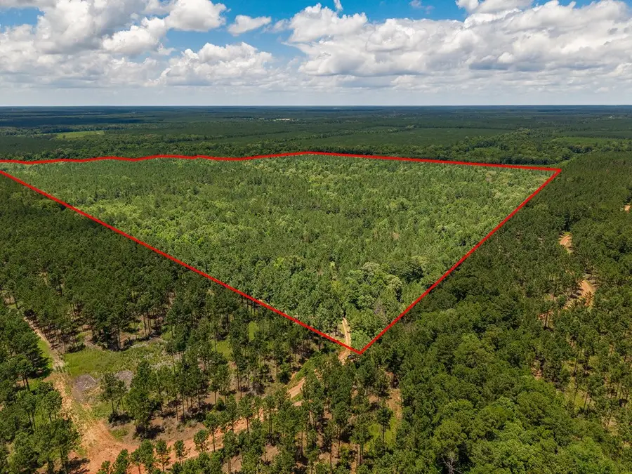 Parcel # 12446 Cr 460, Etoile, TX 75944 - #2