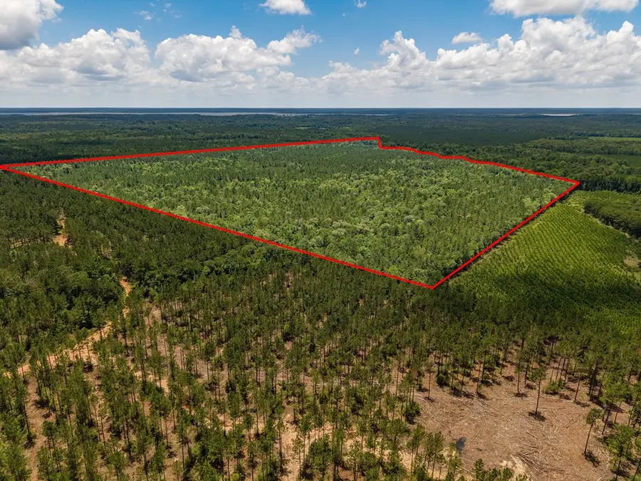 Parcel # 12446 Cr 460, Etoile, TX 75944 - #3