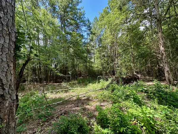 291 Jape Massingill Lane, Diboll, TX 75591