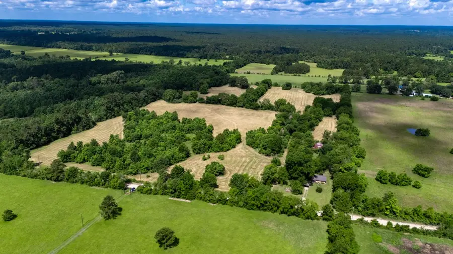 1615 County Line Road, Kennard, TX 75847 - #2