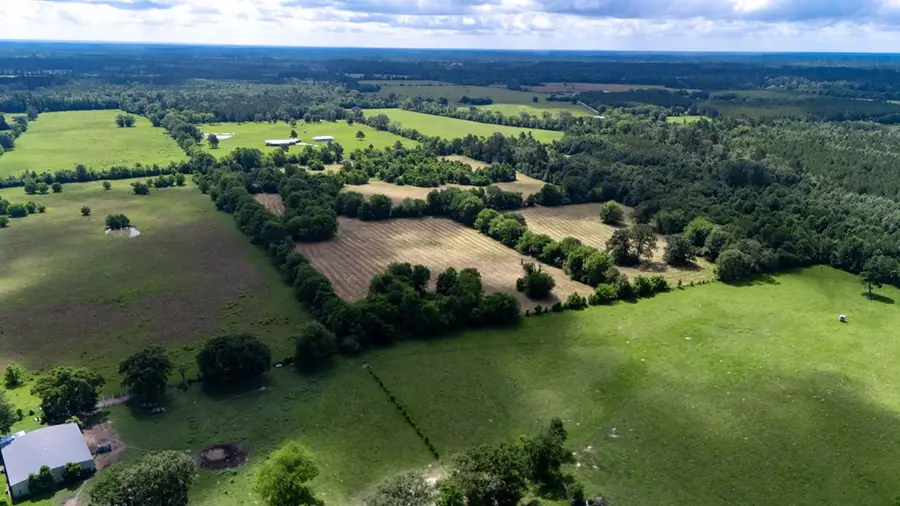 1615 County Line Road, Kennard, TX 75847 - #3