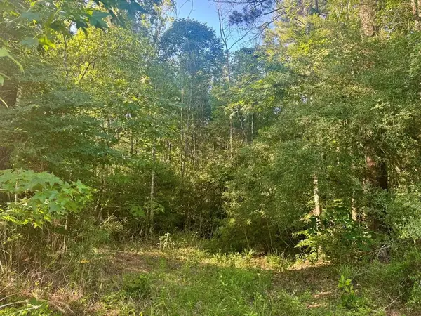 PID# 15463 Co Rd 1039, Burkeville, TX 75932