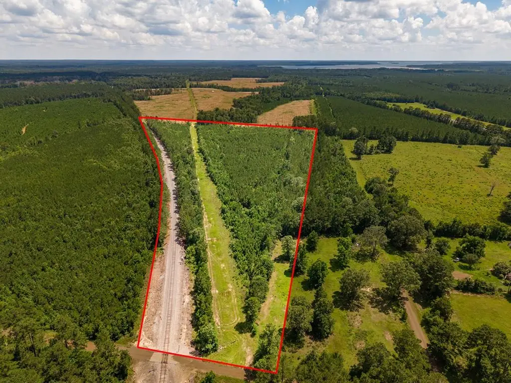 000 Twin Pines Ln, Pineland, TX 75968 - #1