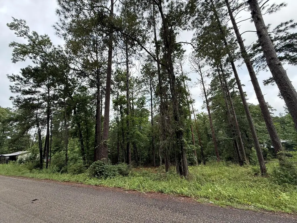 R030870 Cardinal Way Circle, Brookeland, TX 75931 - #1