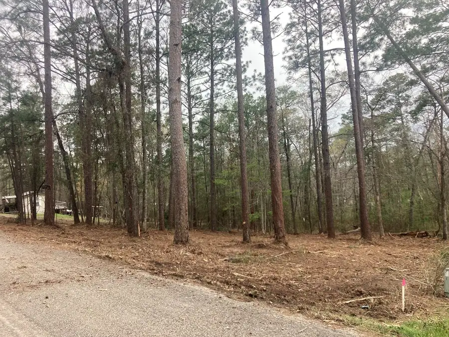 R030870 Cardinal Way Circle, Brookeland, TX 75931 - #2