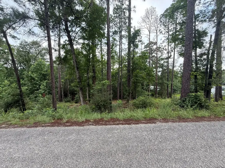 R030870 Cardinal Way Circle, Brookeland, TX 75931 - #3