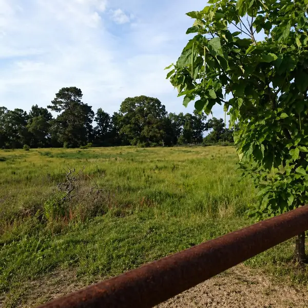 656 Fm 1970, TIMPSON, TX 75975