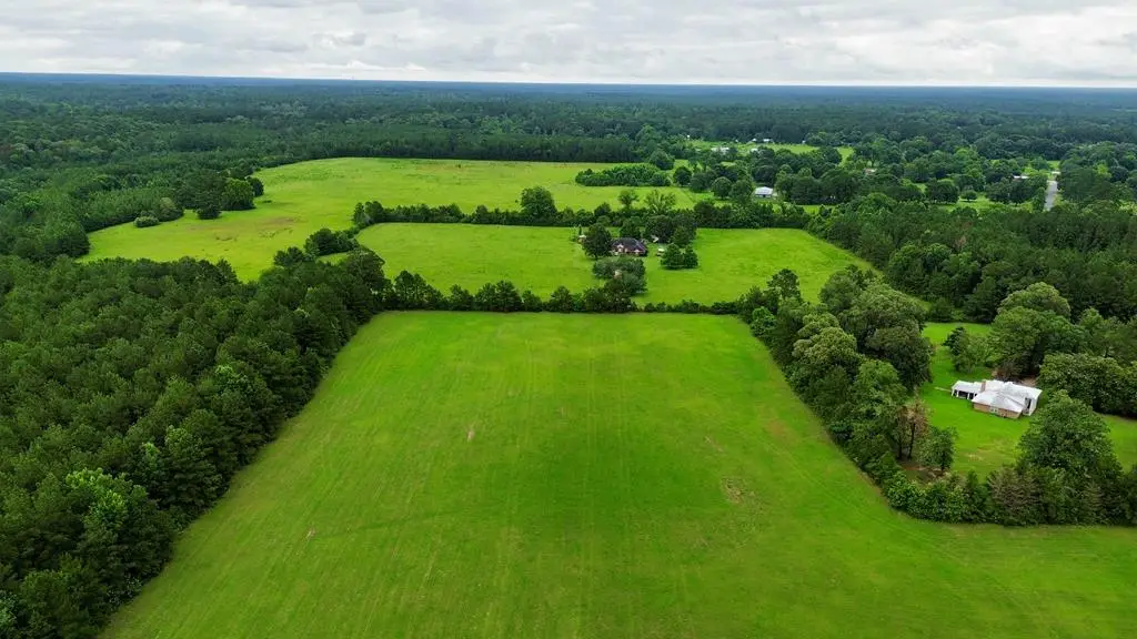 5.76AC Cr 331, Kirbyville, TX 75956 - #1