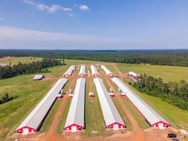 Farm 1 Cr 779, Douglass, TX 75943