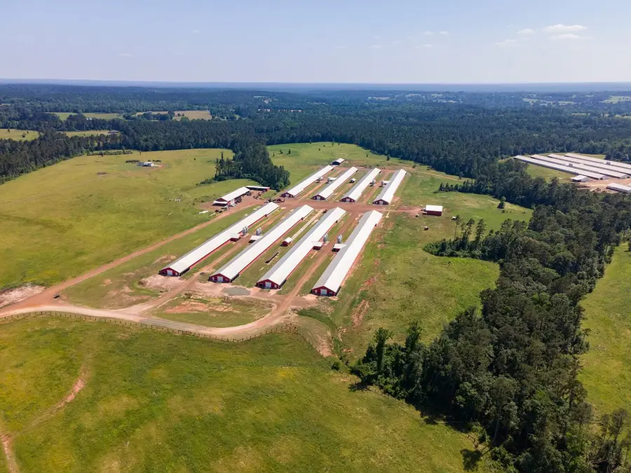 Farm 1 Cr 779, Douglass, TX 75943 - #3