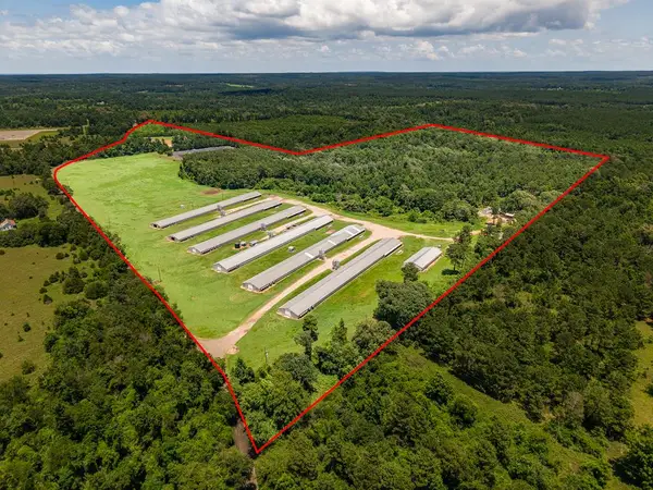 6080 Cr 203, San Augustine, TX 75972